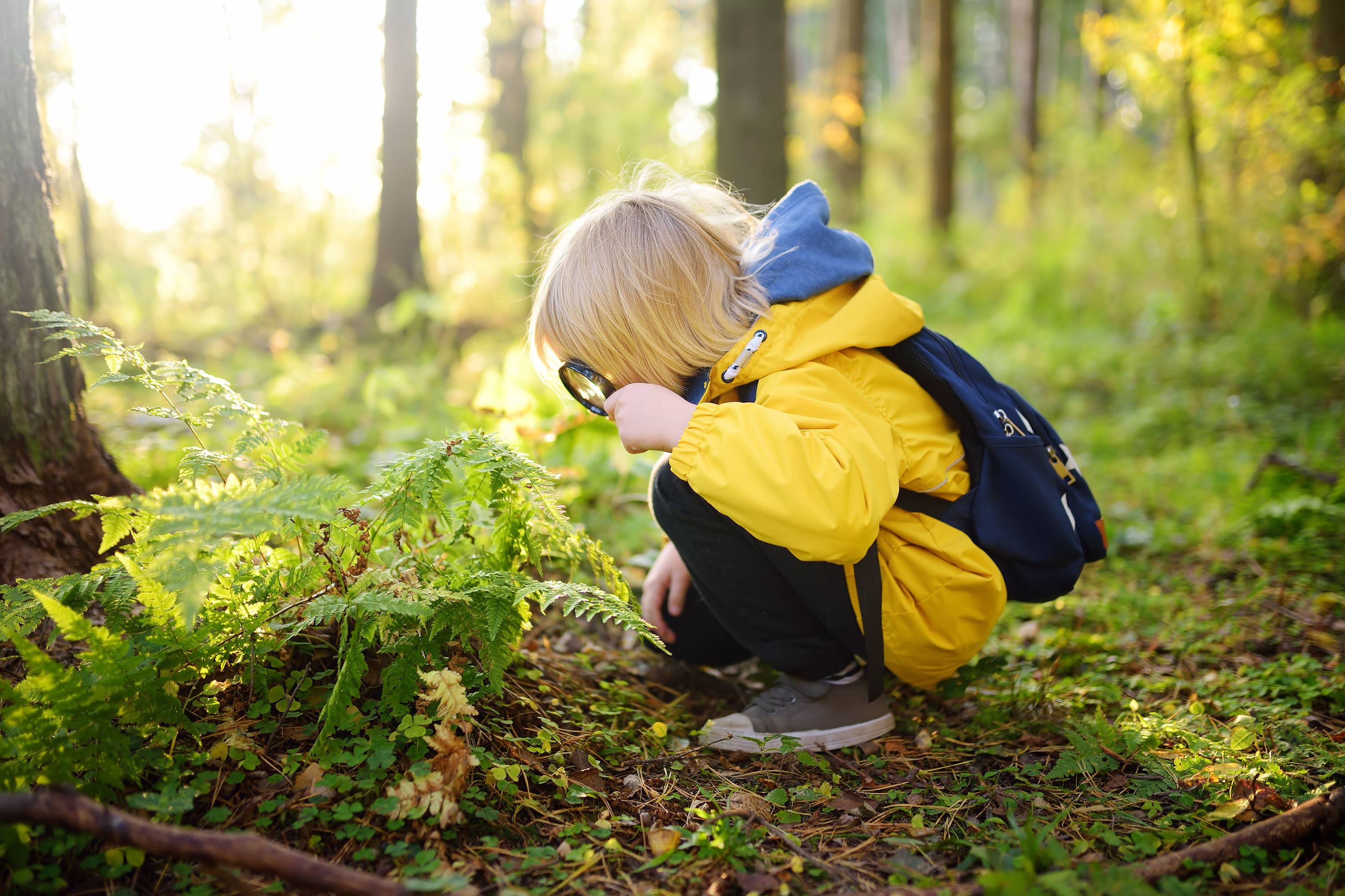 Santé, environnement et biodiversité