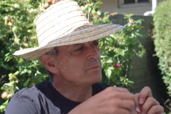 Professeur Vincent Jullien