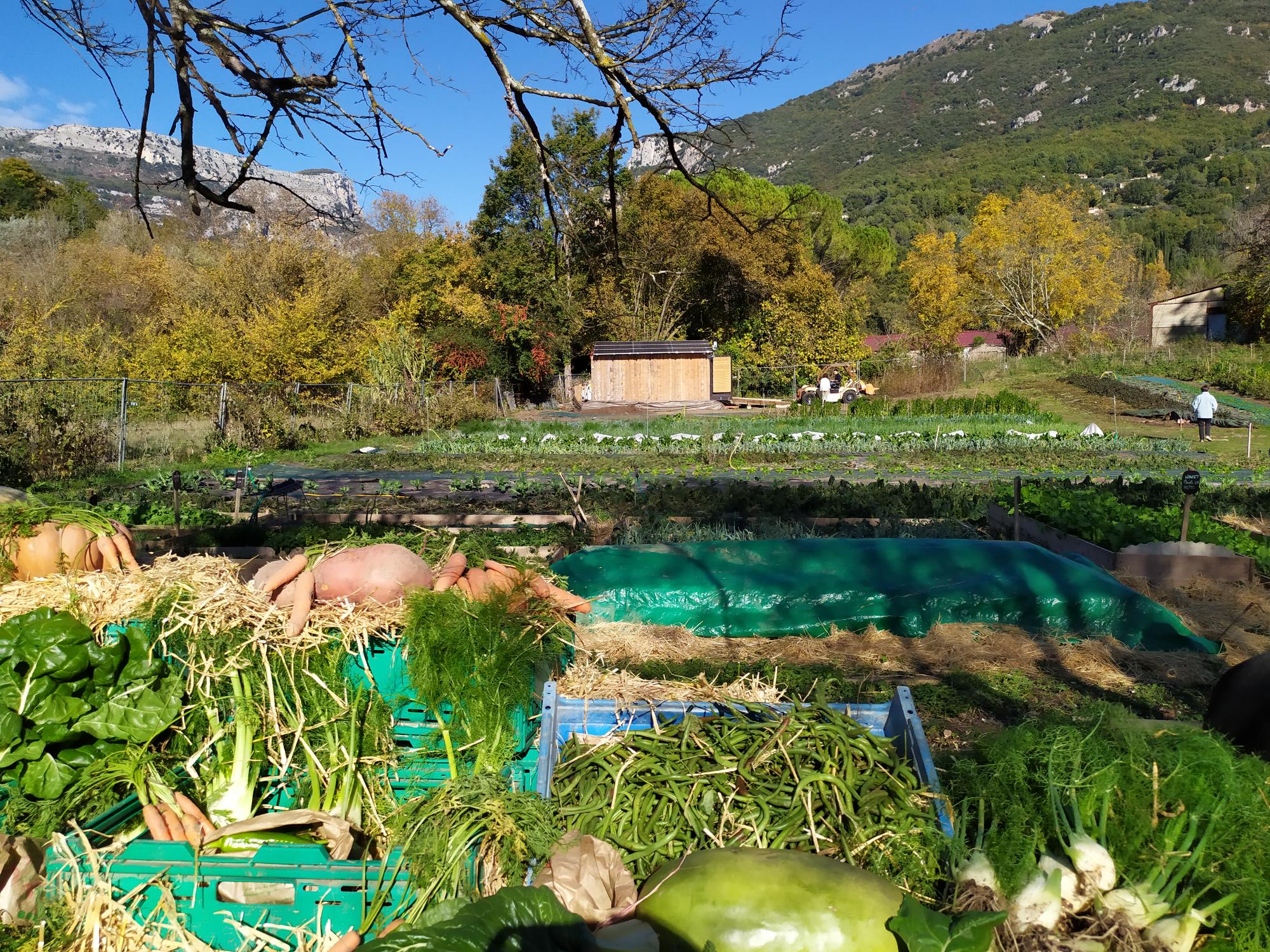 Photos projets OTECCA